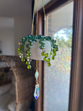 Beaded Plant