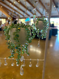 Beaded Plant